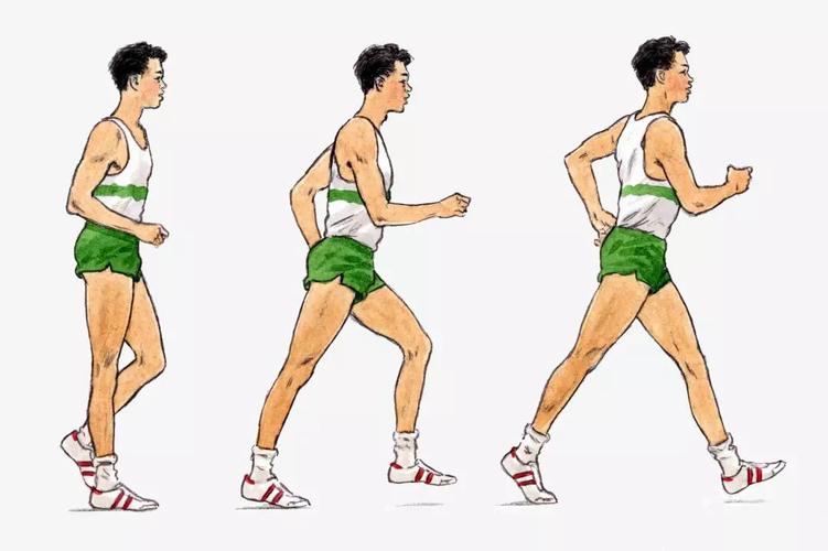 跑和竞走的根本区别在于(竞走和跑步有什么区别)